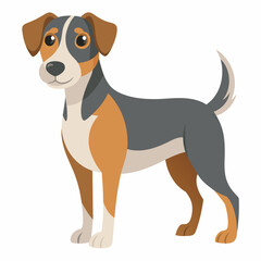 dachshund dog isolated on white