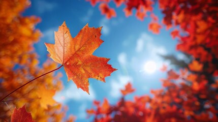 The majestic low-angle view of vibrant maple leaves, symbolizing Canadian pride in autumns colorful foliage, embodying the nations identity