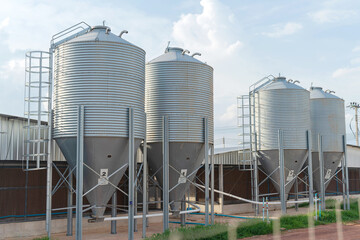 Large modern metal silos storing grain for animal feed at a chicken farm
