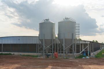 Large modern metal silos storing grain for animal feed at a chicken farm © Naypong Studio