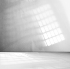 Background Floor Shadow Wall Kitchen Concrete White Texture Light Texture Abstract Mockup Product Marble Room Studio Display Plant Cement Minimal Shelft Bar Silhouette Leaves Backdrop Vintage.