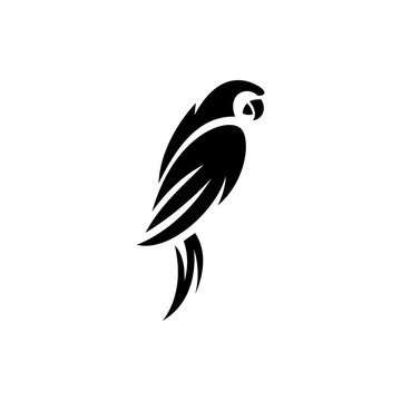 parrot logo vector illustration. minimalist parrot logo template