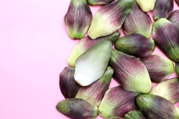 Fresh green purple artichoke petals