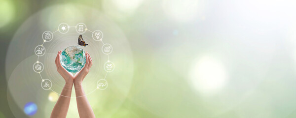Environmental sustainability goal, World environment day, CSR ecology concept with green earth on...