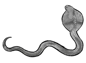 筆と水墨画風のコブラのシルエットイラスト素材