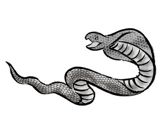 筆と水墨画風のコブラのシルエットイラスト素材