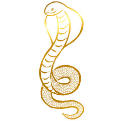 Fototapeta premium ゴールドの筆タッチのコブラのイラスト素材
