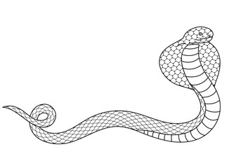 コブラの線画イラスト素材