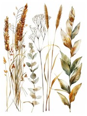 Isolated plant elements on a white background for easy use in designs