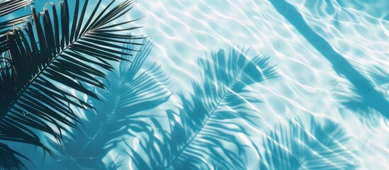 Top view of a palm leaf shadow cast on a serene blue water background in a flat lay perspective.