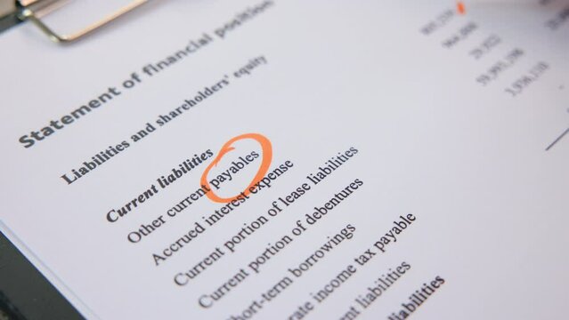 Tax audit review balance sheet account payable data risk ratio in annual report by GAAP IFRS IAS. Income Cash flow expense invoice bill payment control checking inspecting wealth for trader study.