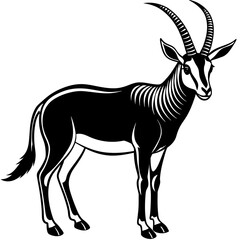 Arabian Oryx vector artwork illustration svg