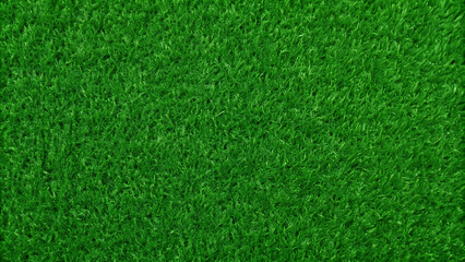 Fototapeta premium Green grass texture background