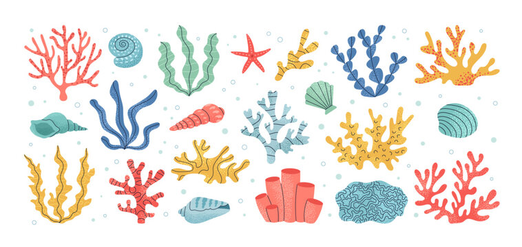 Set of coral and seaweed. Hand drawn aquarium plants, underwater ocean flora, seashell, algae, starfish. Vector marine plants and animals of the seabed. Flat cartoon illustration.