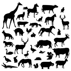 Farm Animal Silhouette collection vector