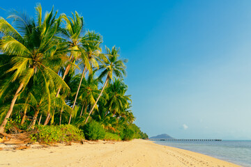 Beautiful tropical island with palm trees and beach panorama. Banner of idyllic tropical beach with white sand, palm tree and turquoise blue ocean. Palm and tropical beach. 