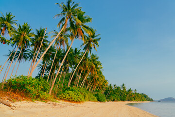 Beautiful tropical island with palm trees and beach panorama. Banner of idyllic tropical beach with white sand, palm tree and turquoise blue ocean. Palm and tropical beach. 