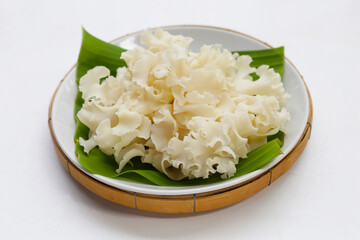 Cauliflower mushroom or cauliflower fungus