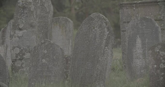Old ancient Jewish cemetery in summer spring day. Druya, Belarus. green grass and many ancient stones. Headstone Headstones Tombstones jewish grave, clog2, clog, canon c70 c log 2