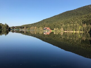 Obraz premium Wooden lake house inside forest in Golcuk National Park, Bolu, Turkey