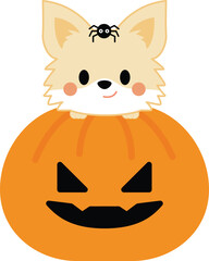 Cute chihuahua dog halloween