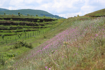 Scenery near the town of Gori