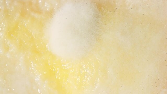 Mold and fungus creep across bread's surface, delicate white threads weaving a sinister tapestry of decay. Air and moisture conspire to birth this spoiling spectacle. Fungal background.
