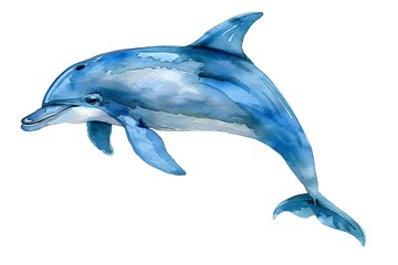 Fototapeta premium Watercolor of Dolphin Jumping in Aquatic Environment for Cover or Postcard Design