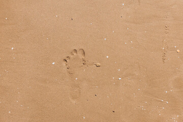 Human footprints in the clear beach sand. Sand surface texture, Nature background.