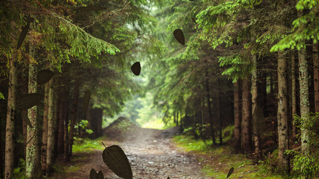 Autumn Leaves 2 Loops Overlay 4k 1:1 16:9 9:16