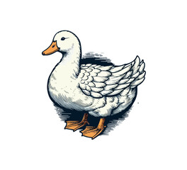 vector graphic of white Pekin duck, hand drawn illustration