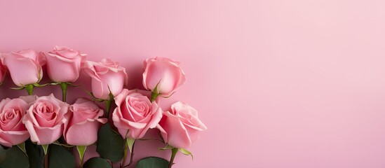 A copy space image featuring roses arranged in a corner with a pink background perfect for Valentine s Day or wedding designs