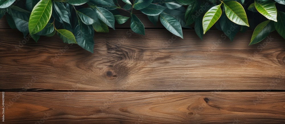 Poster a wallpaper design featuring leaves and wood elements with plenty of empty space for a copy space im