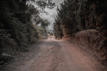 camino rural, sin asfaltar en medio del campo