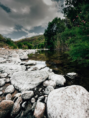 Curso del agua en un paraje natural