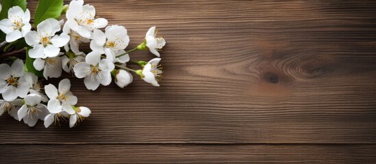 A spring themed copy space image showcasing beautiful white flowers placed on a rustic wooden background ideal for Mother s Day or Easter designs