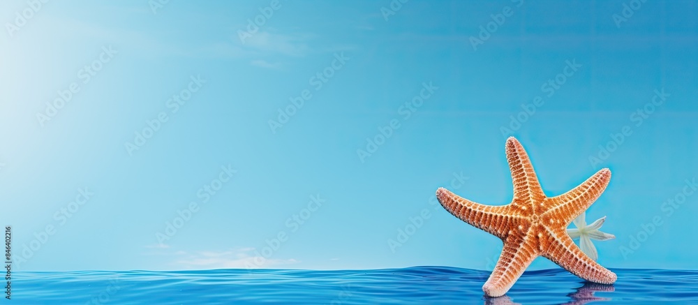 Poster a summer themed background showcasing a starfish on a blue backdrop with ample copy space image
