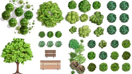 Top view elements for the landscape design plan. Trees and benches for architectural floor plans. Entourage design. Various trees, bushes, and shrubs.