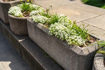 Road Flower Pot, Street Bed, Plant Boxes Modern City Floristry, Urban Flowerbeds Design, City...