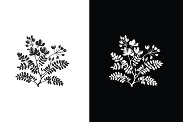Flat vector Acacia flower icon illustration. Tree branch collection, floral isolated black and white