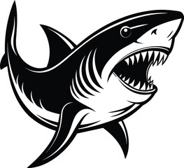 shark cartoon isolated on white background