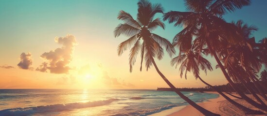 Coconut palm trees' silhouettes on the beach as the sun sets, giving a vintage feel.