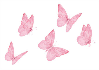 pink watercolor and butterflies illsutration set flock of butterfly
