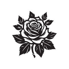 black and white rose