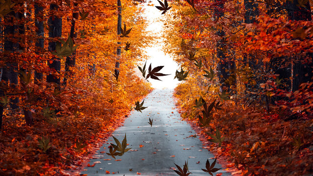 Autumn Leaves 5 Loops Overlay 4k 1:1 16:9 9:16