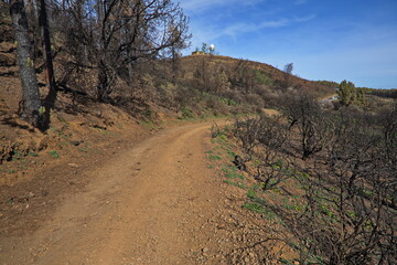 Hiking track to Cruz del Socorro on Gran Canaria,Canary Islands,Spain,Europe
