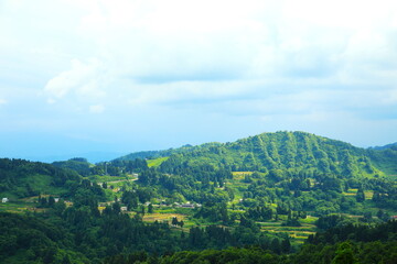 Obraz premium 緑の森が美しい農村