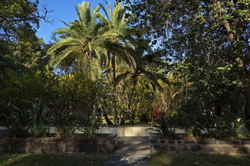 Obraz premium Public park in Arucas on Gran Canaria,Canary Islands,Spain,Europe 