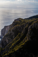 Mountain peaks covered in forests near an expansive ocean