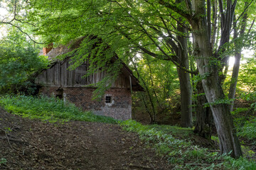 Ancient stone building surrounded by lush forest